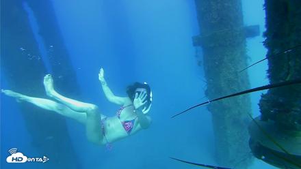 Scripps Pier Underwater Live Webcam - Aug 6, 2026, 4:56pm PDT