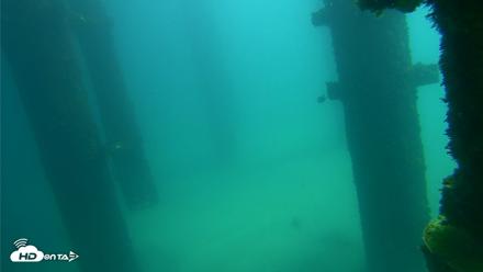 Scripps Pier Underwater Live Webcam - Sep 24, 2026, 12:18pm PDT