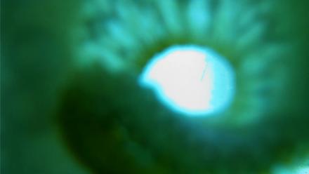 Scripps Pier Underwater Live Webcam - Sep 16, 2025, 3:30pm PDT