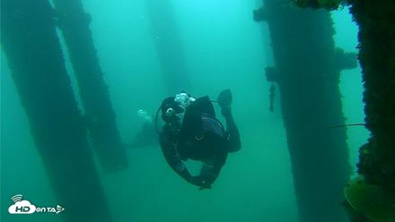 Scripps Pier Underwater Live Webcam - Oct 8, 2026, 9:32am PDT