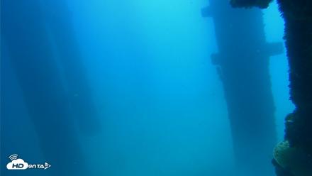 Scripps Pier Underwater Live Webcam - Sep 19, 2026, 12:00pm PDT