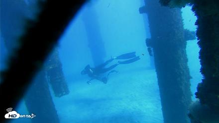 Scripps Pier Underwater Live Webcam - Oct 19, 2026, 1:07pm PDT