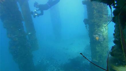 Scripps Pier Underwater Live Webcam - Jan 17, 2026, 3:43pm PST