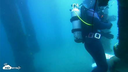 Scripps Pier Underwater Live Webcam - Apr 10, 2026, 1:13pm PDT