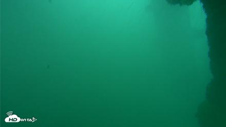 Scripps Pier Underwater Live Webcam - Oct 11, 2026, 11:56am PDT