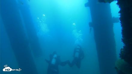 Scripps Pier Underwater Live Webcam - Oct 14, 2026, 9:45am PDT