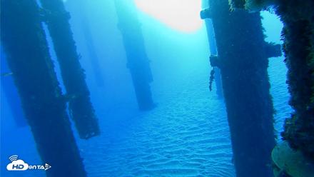 Scripps Pier Underwater Live Webcam - Oct 18, 2026, 7:39am PDT