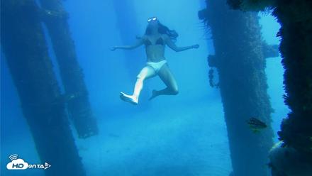 Scripps Pier Underwater Live Webcam - Oct 19, 2026, 12:58pm PDT
