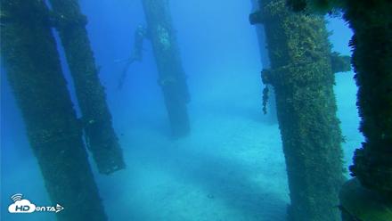 Scripps Pier Underwater Live Webcam - Oct 18, 2026, 4:15pm PDT