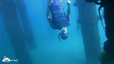 Scripps Pier Underwater Live Webcam - Oct 7, 2026, 2:11pm PDT