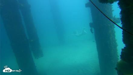 Scripps Pier Underwater Live Webcam - Oct 6, 2026, 1:28pm PDT