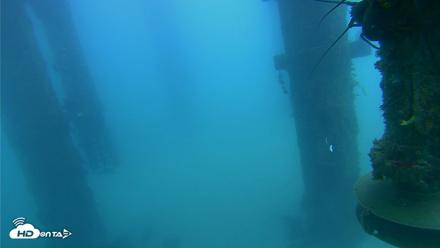 Scripps Pier Underwater Live Webcam - Aug 4, 2026, 9:49am PDT