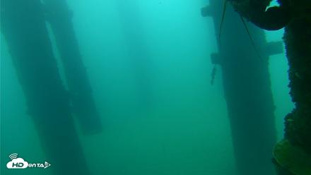 Scripps Pier Underwater Live Webcam - Sep 22, 2026, 7:47am PDT