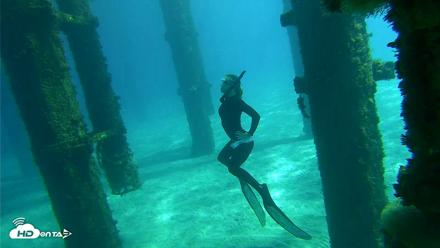 Scripps Pier Underwater Live Webcam - Oct 18, 2026, 12:22pm PDT
