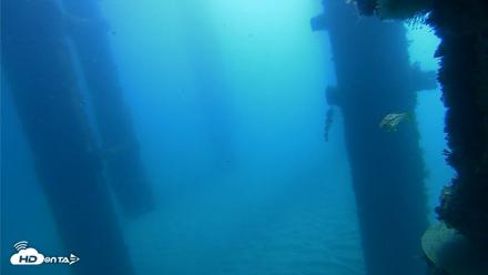Scripps Pier Underwater Live Webcam - Oct 21, 2026, 10:09am PDT