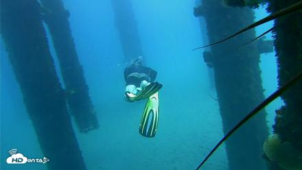 Scripps Pier Underwater Live Webcam - Oct 7, 2026, 1:05pm PDT