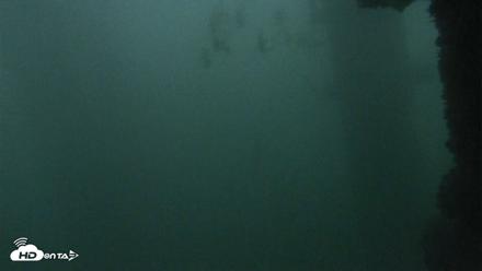 Scripps Pier Underwater Live Webcam - Oct 12, 2026, 6:38am PDT
