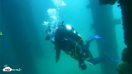 Scripps Pier Underwater Live Webcam - Sep 17, 2026, 12:30pm PDT