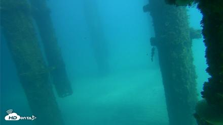 Scripps Pier Underwater Live Webcam - Oct 16, 2026, 1:57pm PDT