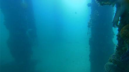 Scripps Pier Underwater Live Webcam - Jul 17, 2025, 9:58am PDT