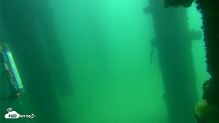 Scripps Pier Underwater Live Webcam - Sep 17, 2026, 11:51am PDT