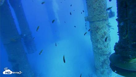 Scripps Pier Underwater Live Webcam - Jul 29, 2026, 5:28pm PDT
