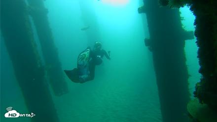 Scripps Pier Underwater Live Webcam - Oct 20, 2026, 8:56am PDT