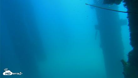 Scripps Pier Underwater Live Webcam - Sep 16, 2026, 1:20pm PDT