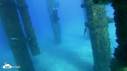 Scripps Pier Underwater Live Webcam - Oct 18, 2026, 4:14pm PDT