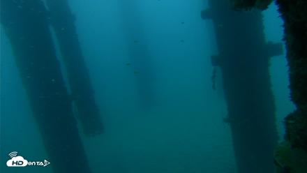 Scripps Pier Underwater Live Webcam - Sep 17, 2026, 6:50am PDT