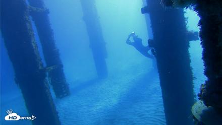 Scripps Pier Underwater Live Webcam - Oct 19, 2026, 9:45am PDT