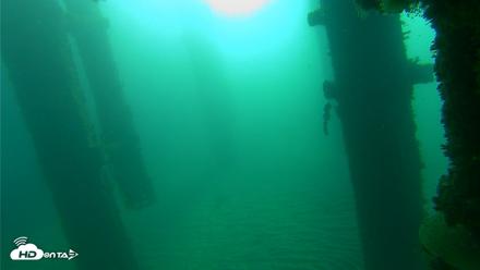 Scripps Pier Underwater Live Webcam - Oct 16, 2026, 8:31am PDT