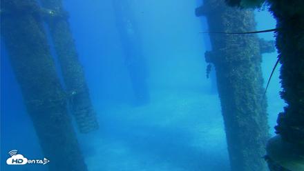 Scripps Pier Underwater Live Webcam - Oct 16, 2026, 3:19pm PDT