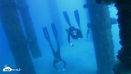Scripps Pier Underwater Live Webcam - Oct 19, 2026, 2:51pm PDT