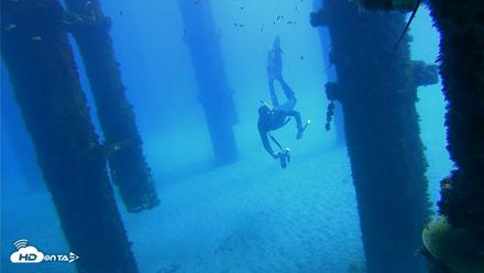 Scripps Pier Underwater Live Webcam - Oct 7, 2026, 11:52am PDT