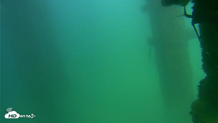 Scripps Pier Underwater Live Webcam - Sep 18, 2026, 3:26pm PDT