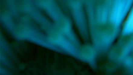 Scripps Pier Underwater Live Webcam - Mar 22, 2026, 12:07pm PDT