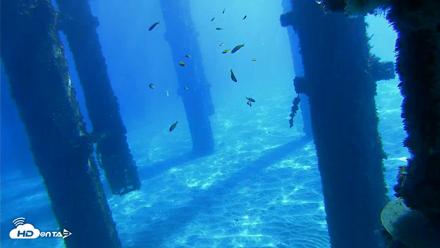 Scripps Pier Underwater Live Webcam - Oct 18, 2026, 10:41am PDT