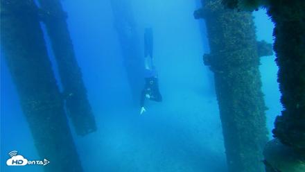 Scripps Pier Underwater Live Webcam - Oct 19, 2026, 4:35pm PDT