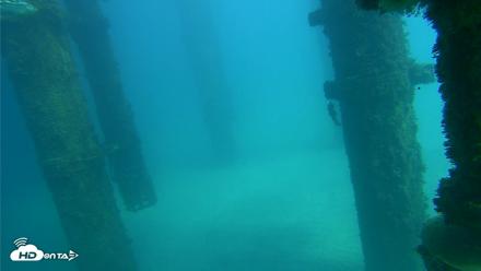 Scripps Pier Underwater Live Webcam - Oct 16, 2026, 2:00pm PDT