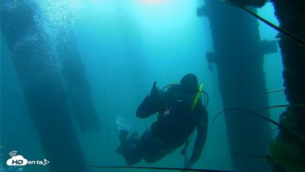 Scripps Pier Underwater Live Webcam - Sep 28, 2026, 9:11am PDT