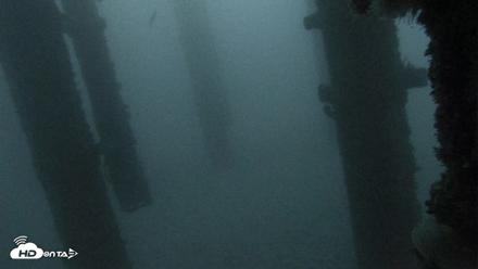 Scripps Pier Underwater Live Webcam - Oct 20, 2026, 6:39am PDT