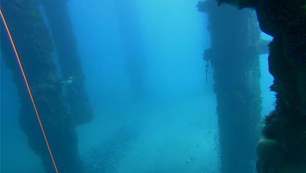 Scripps Pier Underwater Live Webcam - Feb 8, 2026, 11:51am PST