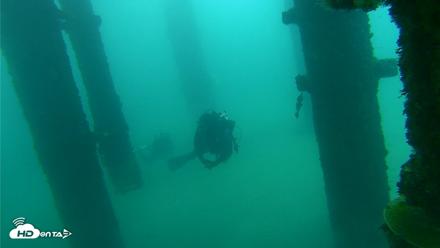 Scripps Pier Underwater Live Webcam - Oct 8, 2026, 9:33am PDT