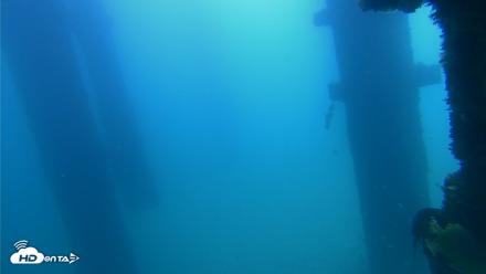 Scripps Pier Underwater Live Webcam - Sep 21, 2026, 11:29am PDT