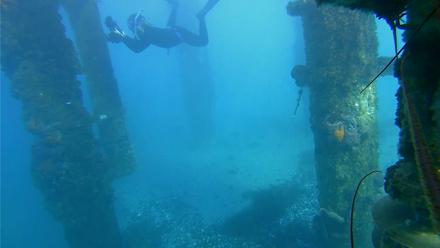 Scripps Pier Underwater Live Webcam - Jan 17, 2026, 3:43pm PST