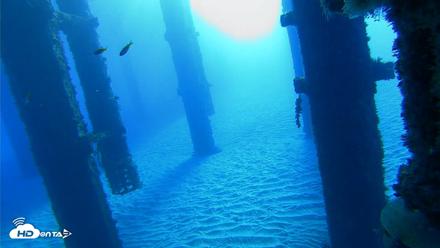Scripps Pier Underwater Live Webcam - Oct 18, 2026, 8:13am PDT