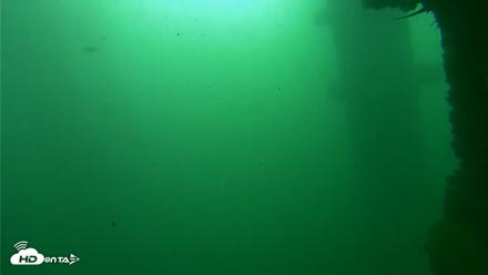 Scripps Pier Underwater Live Webcam - Sep 29, 2026, 8:59am PDT