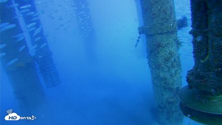 Scripps Pier Underwater Live Webcam - Jul 29, 2026, 5:44pm PDT
