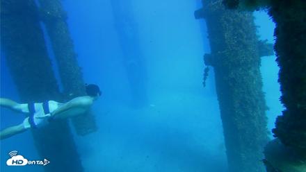 Scripps Pier Underwater Live Webcam - Oct 19, 2026, 3:50pm PDT